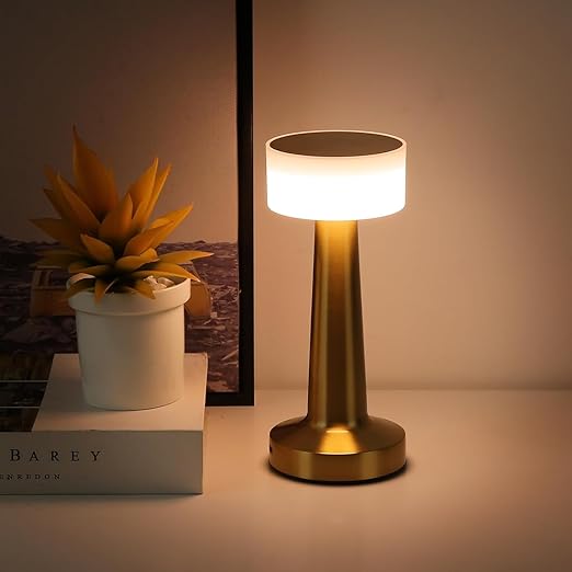Table Lamp | 2000mAh Battery | Home Decor, Lamps for Bedroom