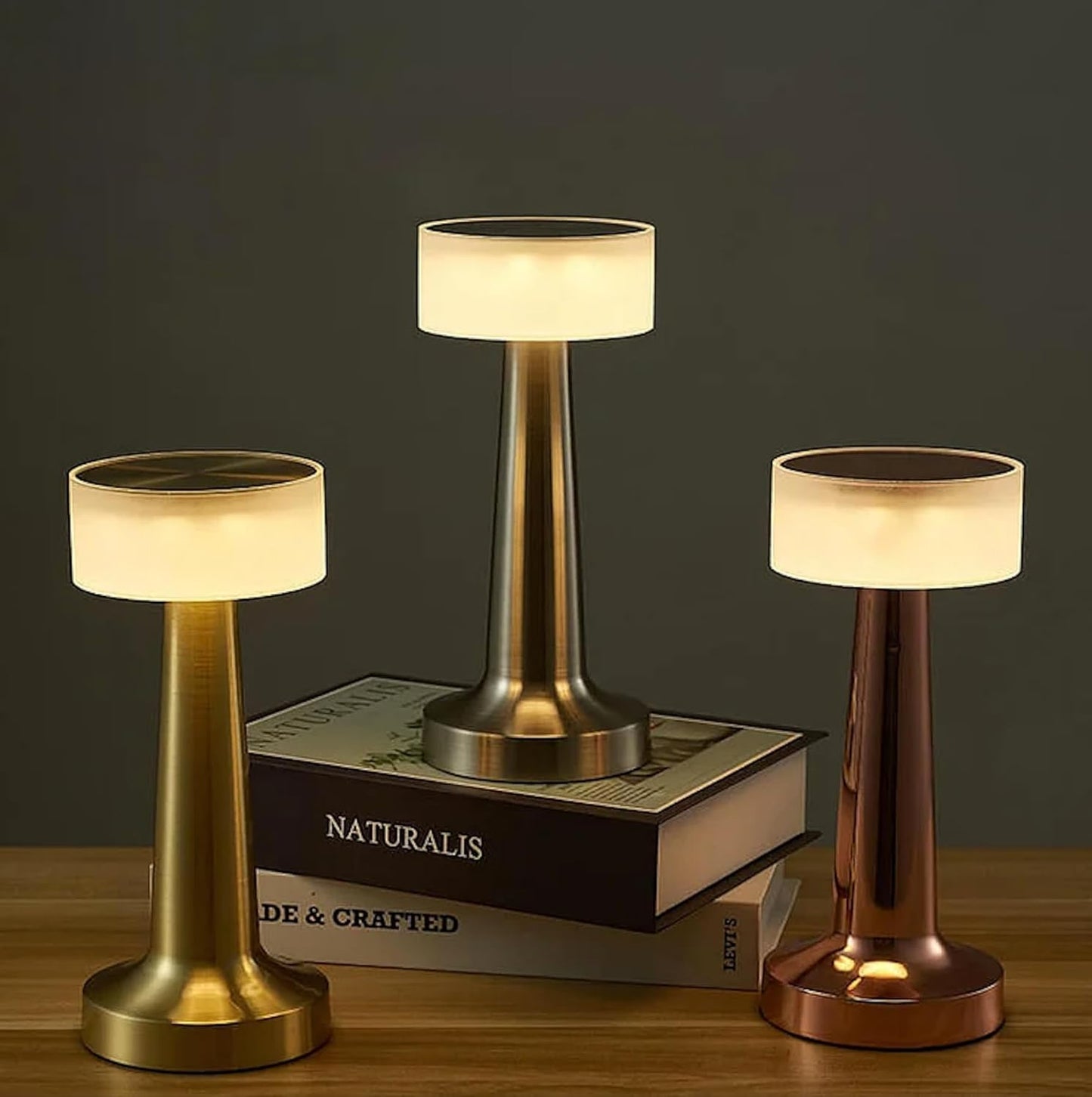 Table Lamp | 2000mAh Battery | Home Decor, Lamps for Bedroom